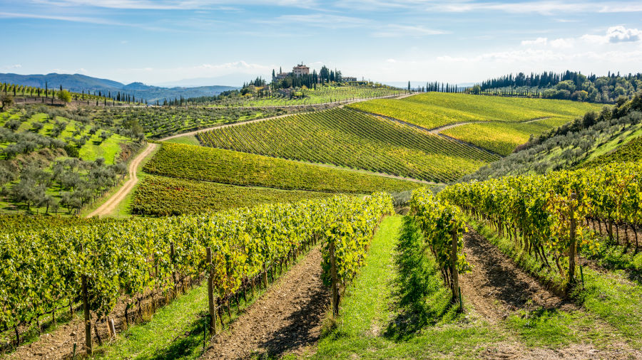 Agroalimentare: investimenti per 24 milioni in Toscana