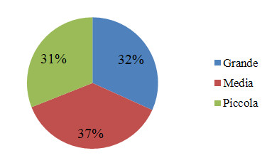 Distribuzione delle domande per tipologia di impresa: Piccole imprese 31%, medie 37%, grandi 32%.